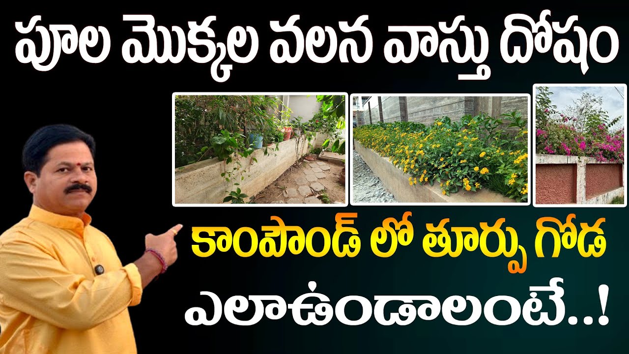 పూల మొక్కల వలన వాస్తు దోషం || కాంపౌండ్ లో తూర్పు గోడ ఎలాఉండాలంటే || Domala Nagendra About House tips
