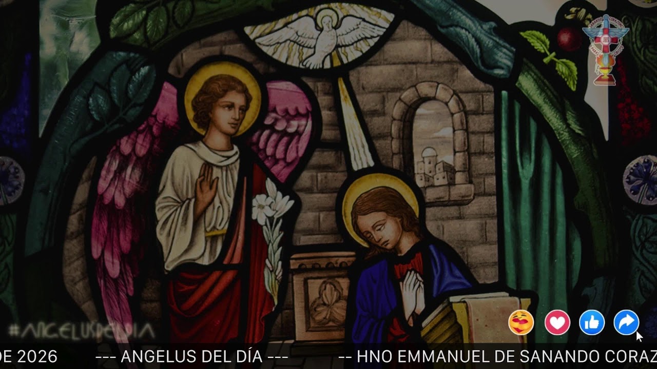ANGELUS DEL DÍA. MIERCOLES 21 DE ENERO DE 2026