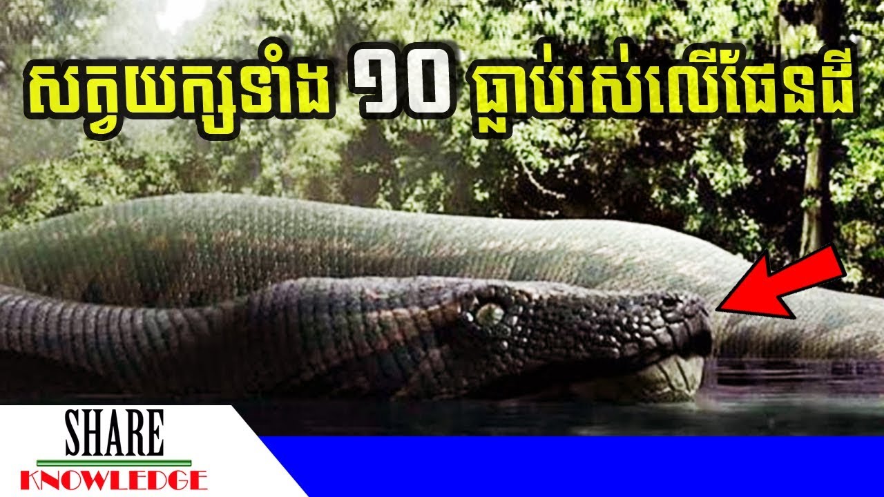 សត្វយក្សទាំង ១០ ដែលធ្លាប់មានវត្តមាននៅលើផែនដី