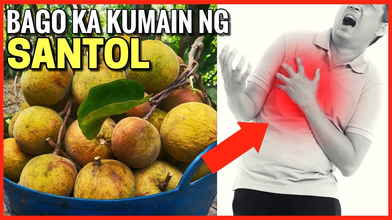 BAGO KA KUMAIN NG SANTOL, PANOORIN MO MUNA ITO!
