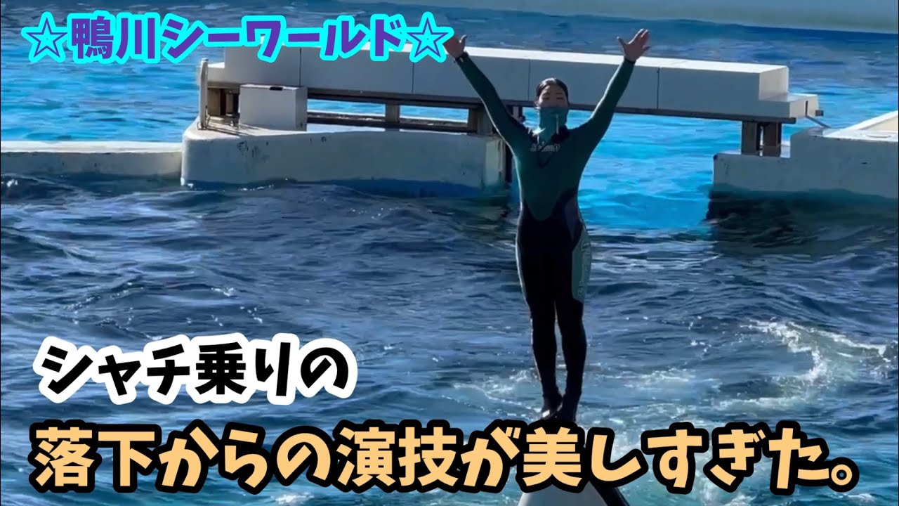 シャチ乗りサーフィンの落下からの演技が美しすぎた。トレーナーを探すガォーが印象的‼︎
