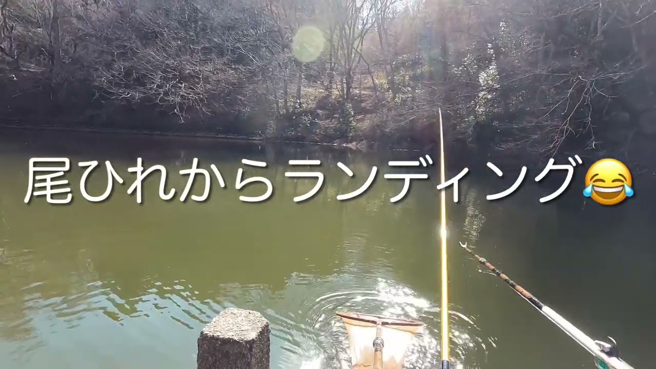 2026.3.11  O池