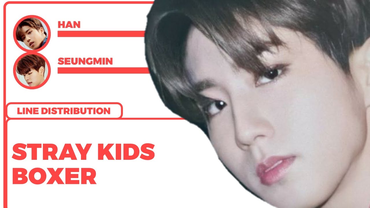 [REQUESTED] STRAY KIDS - BOXER (line distribution)