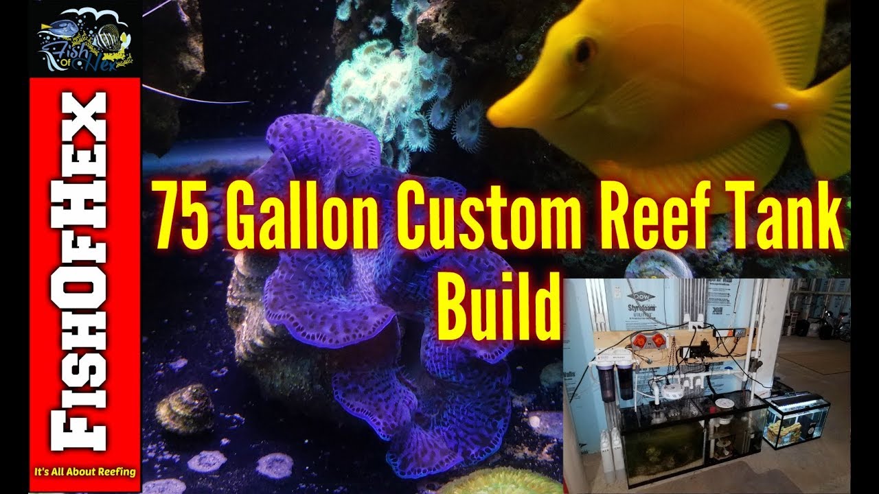 Custom 75 Gallon Reef Tank With Basement Sump | Client Build