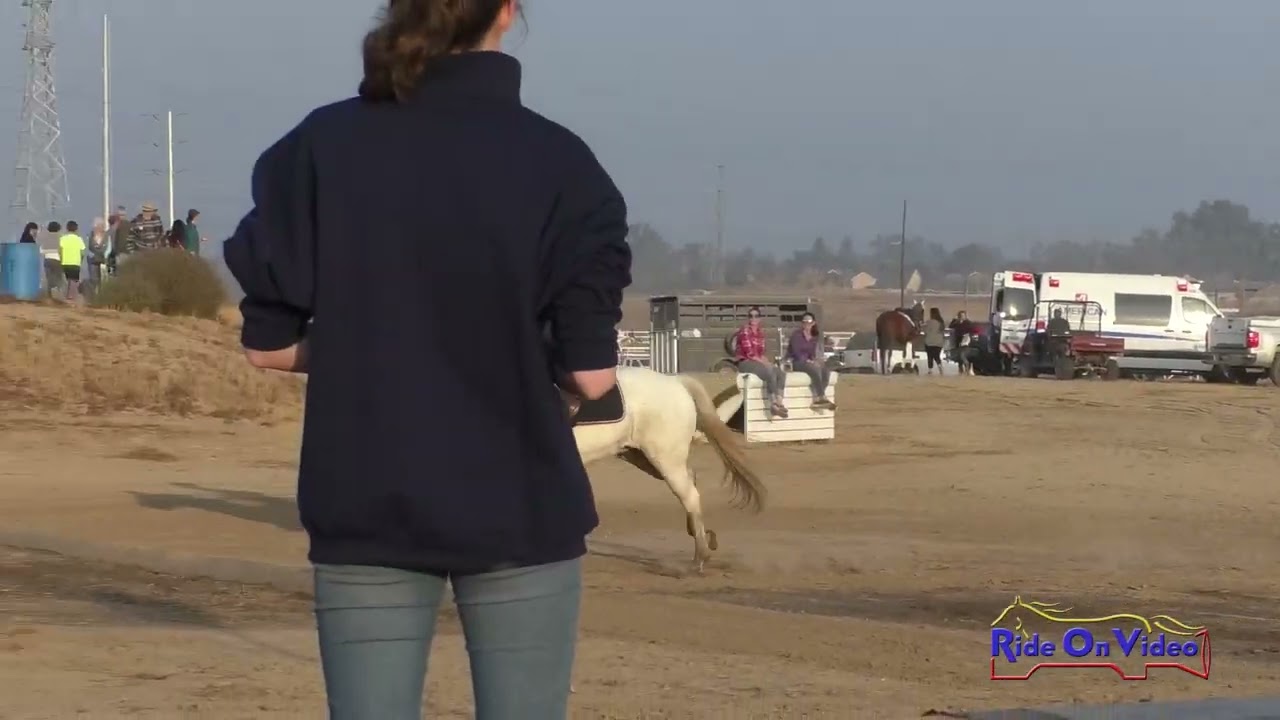049XC Mia MacPhail on Carbonado Senior Training Rider Cross Country Ram Tap Nov. 2018