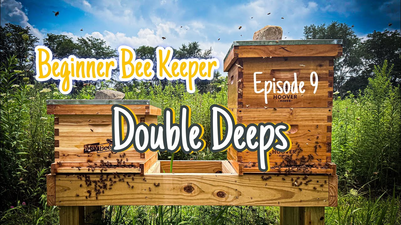 When do you add a deep box? | Ep 9 Double Deeps