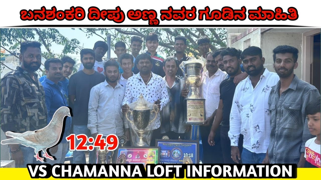 ಬನಶಂಕರಿ ದೀಪು ಅಣ್ಣ ನವರ ಗೂಡಿನ ಮಾಹಿತಿ 🕊️ vs chamanna loft information