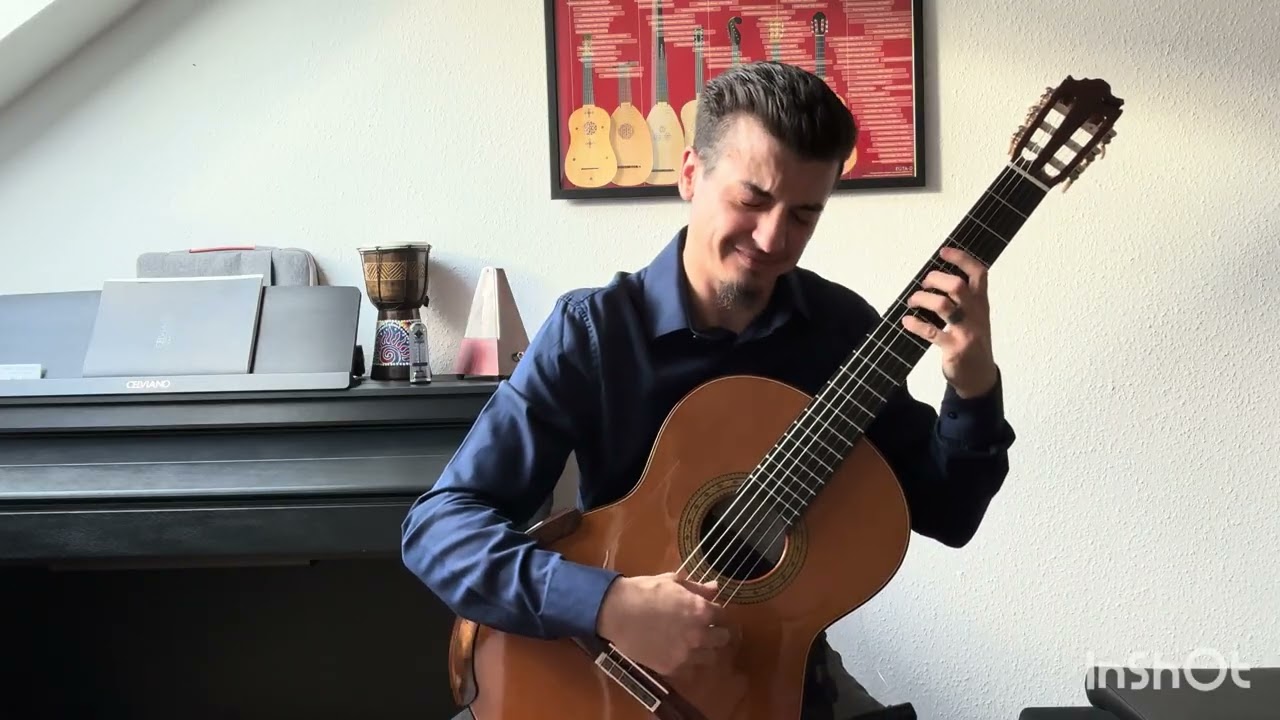 Concierto de Aranjuez/Platero y yo