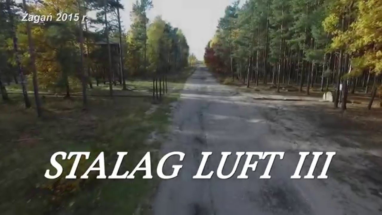 Stalag Luft III  The Great Escape  Tunnel ,,Harry,,