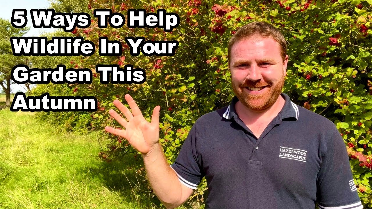 How To HELP WILDLIFE In YOUR GARDEN This Autumn & Winter