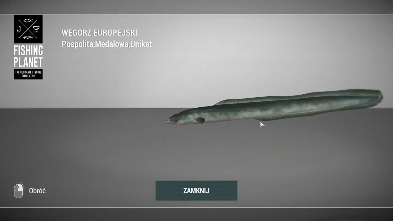 Fishing Planet Sander Baggersee Lake Germany Unique European Eel | Unikatowy Węgorz #fishing