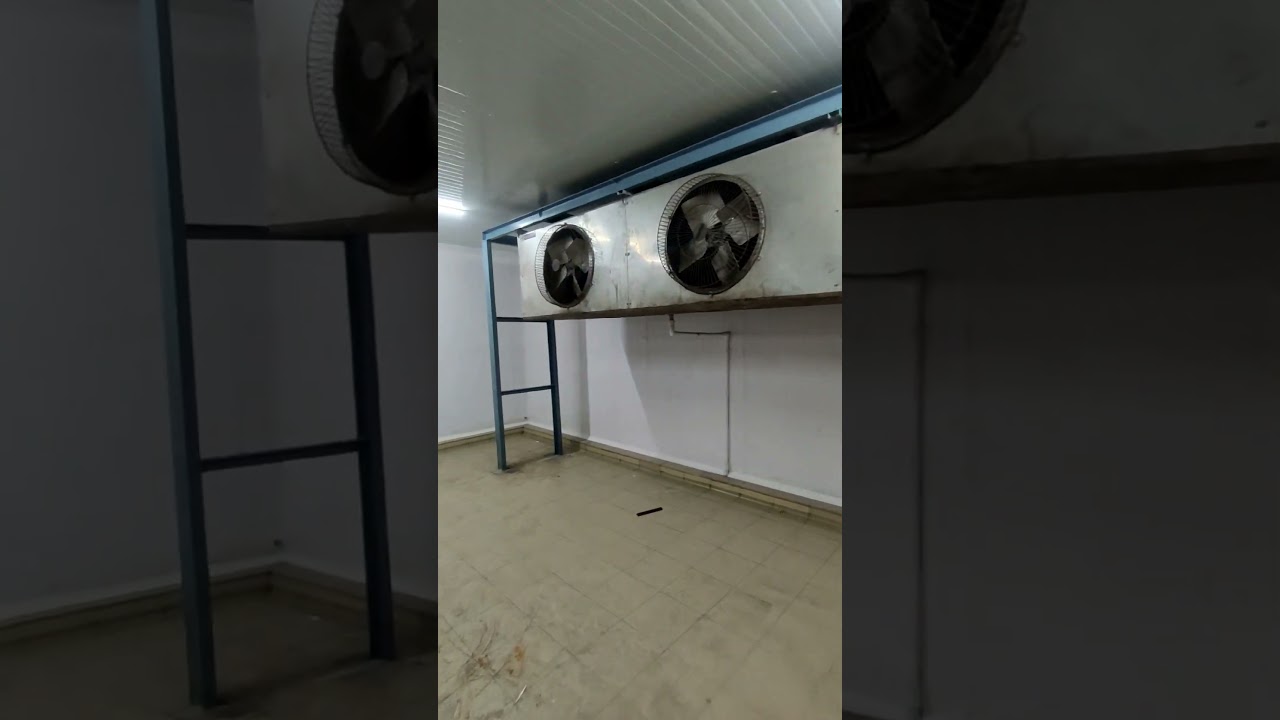 Cold Storage for vegetables fruits Medicine