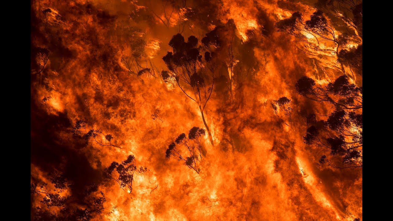 The summer Australia burned, 2019-2020: A bushfire photojournalism exhibition
