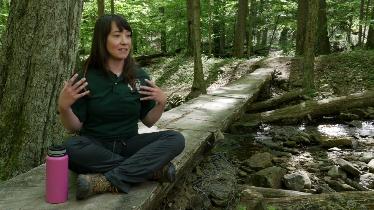 Rachel Mahoney -- Mt. Davis -- Spruce Flats Bog -- Great Allegheny Passage