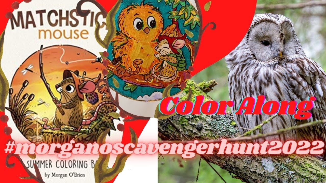 Color & Chat | Matchstick Mouse | Friend Owl | Ohuhu Alcohol Markers | Adult Coloring