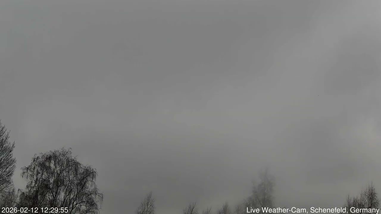 2026-02-12 Schenefeld Wetter