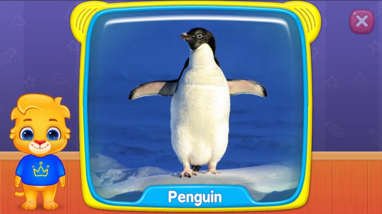 Birds Names and Sounds |  Educational for Kids and Children |  New Vocabulary for Children and Kids