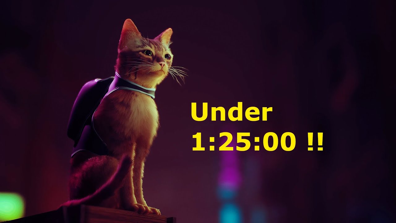 stray any% speedrun in 1:24:58