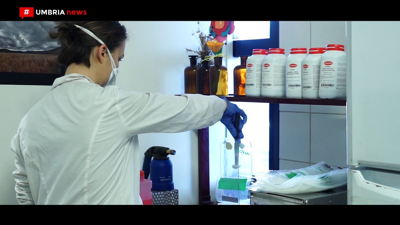 Covid 19 // Il Gruppo Grifo Agroalimentare garantisce ritiro e distribuzione del latte [UMBRIA NEWS]