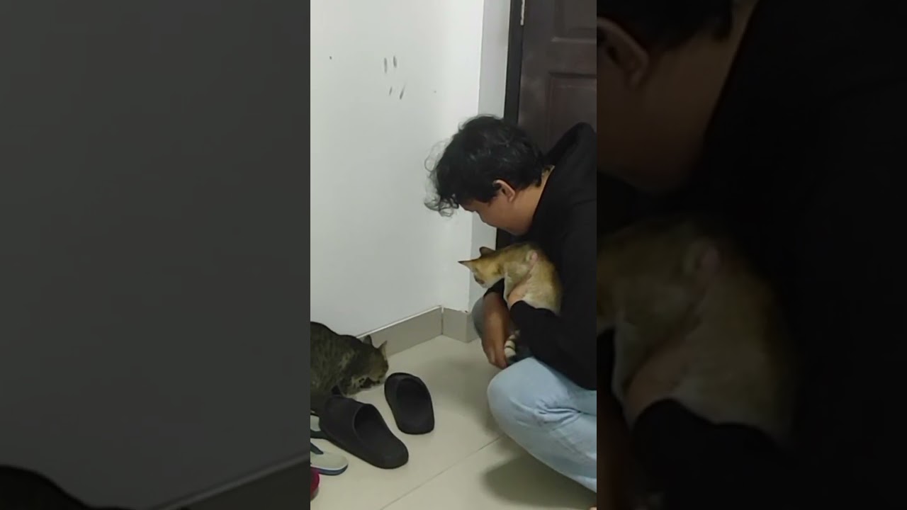 Power of ibadah #dakwahislamic #nasehatislam #ambu kucing lapar
