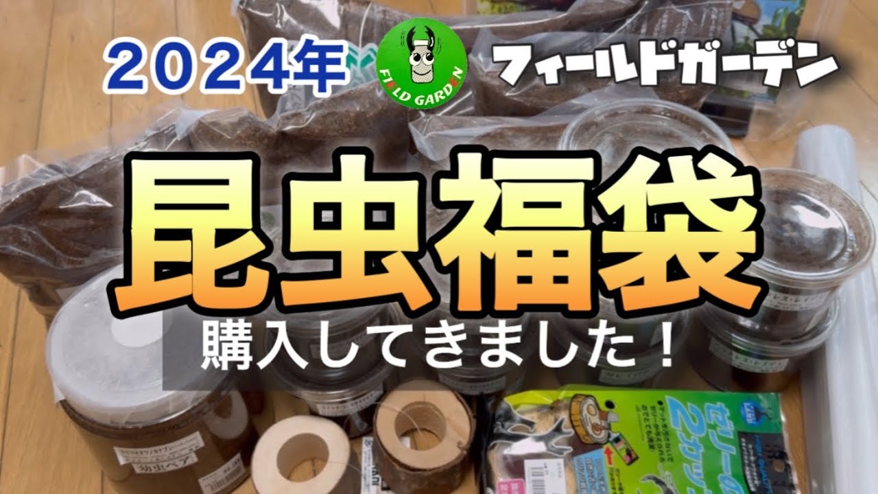 2024年 フィールドガーデンさんの【世界の昆虫福袋)を買って来た！