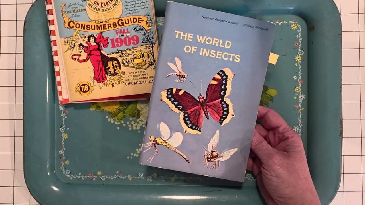 A Book Haul & Some Over-Sharing!