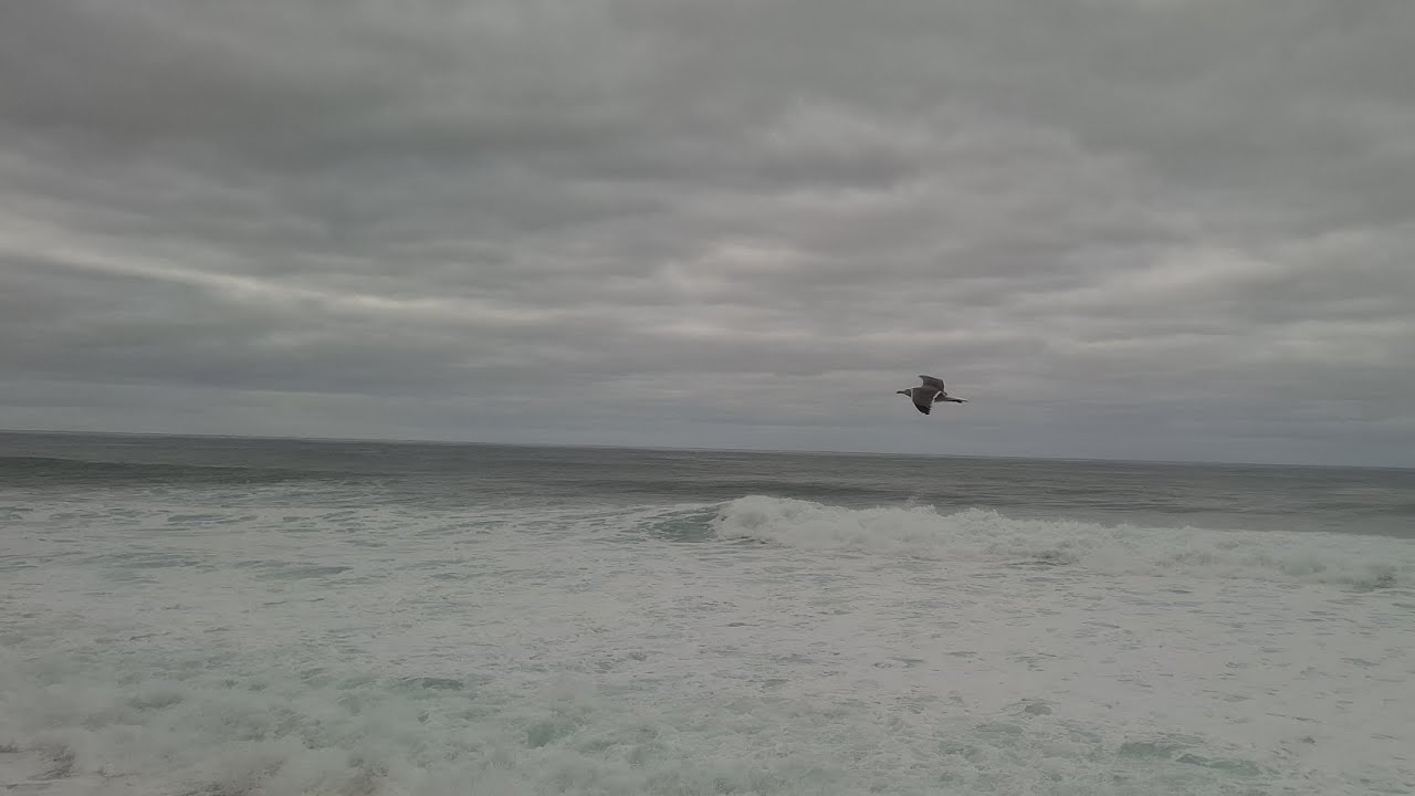 Atlantic Ocean. Madeira. Relax