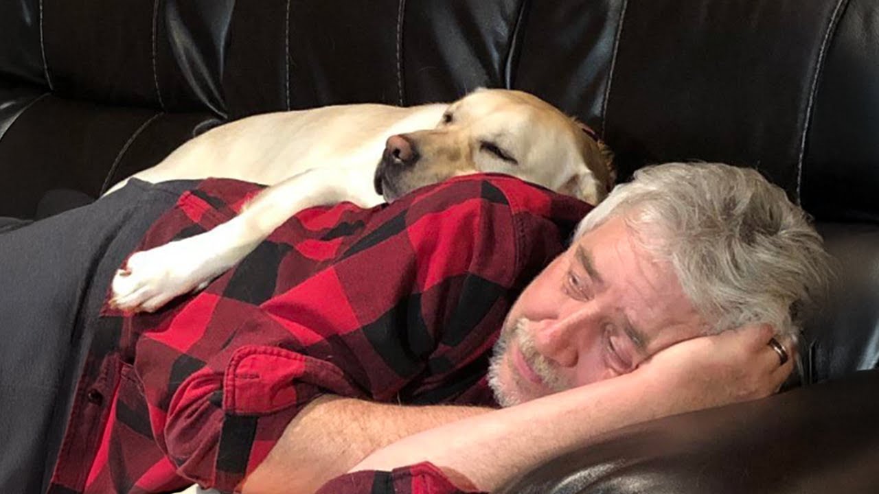 My Dad Said No Dog… Now Look at Them!🤣