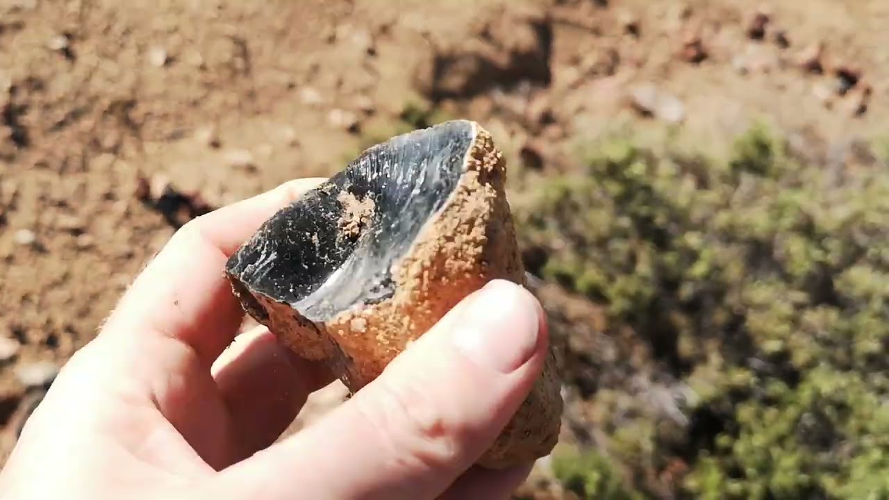 Obsidian Cobs - Site 1 || Burns, Oregon || Rockhounding