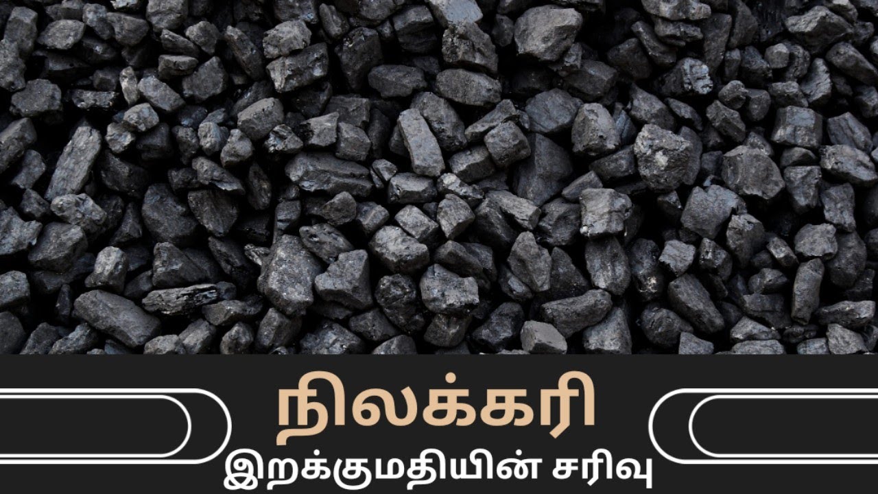 Coal Import Reduced || Export Import Updates