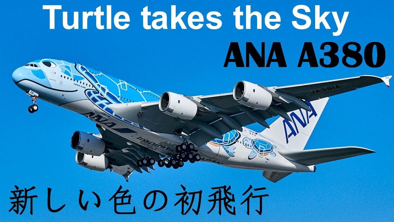 FLYING HONU - 1st ANA A380 Flight in Full TURTLE Livery at Airbus Plant Hamburg