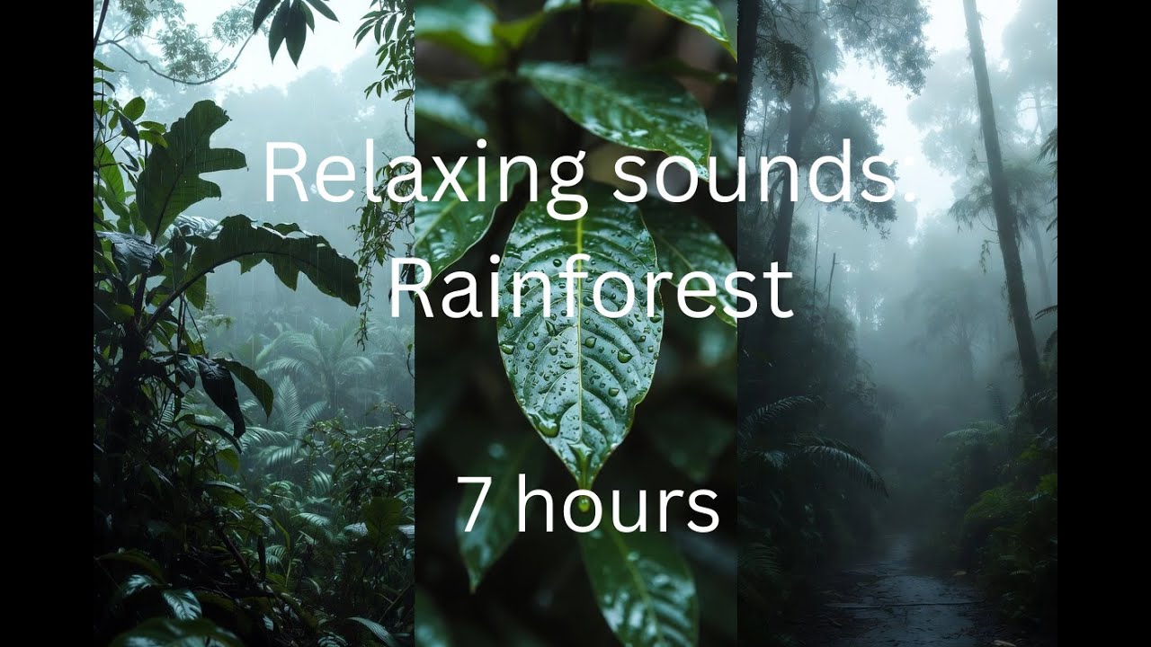 Relaxing rain sounds for sleeping  | Rainforest rain |  7 hour video