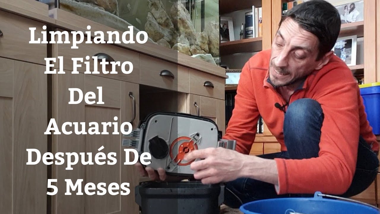 🔵 Limpiando El Filtro Del Acuario Después De 5 Meses😀 (Acuarios MB)