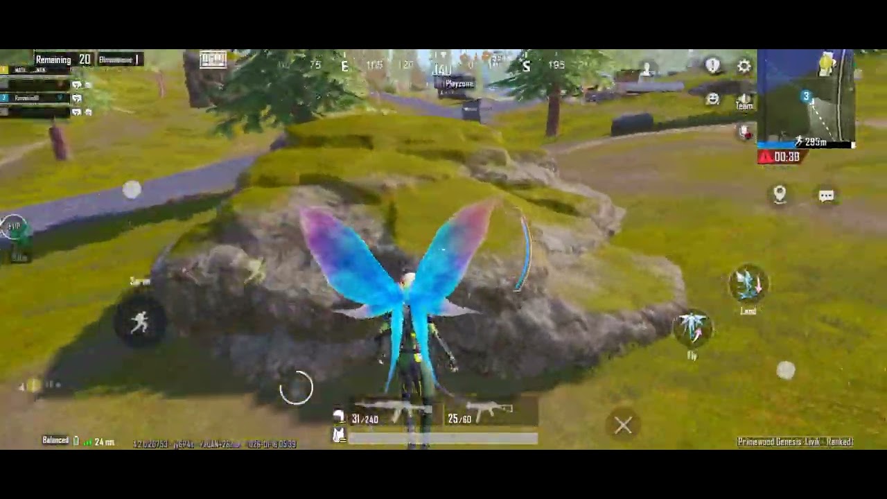 Victori chicken dinner winner