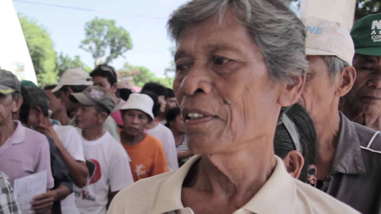 Typhoon Haiyan. Coconut-Based Farming Systems. Providing alternative livelihoods for coconut farmers