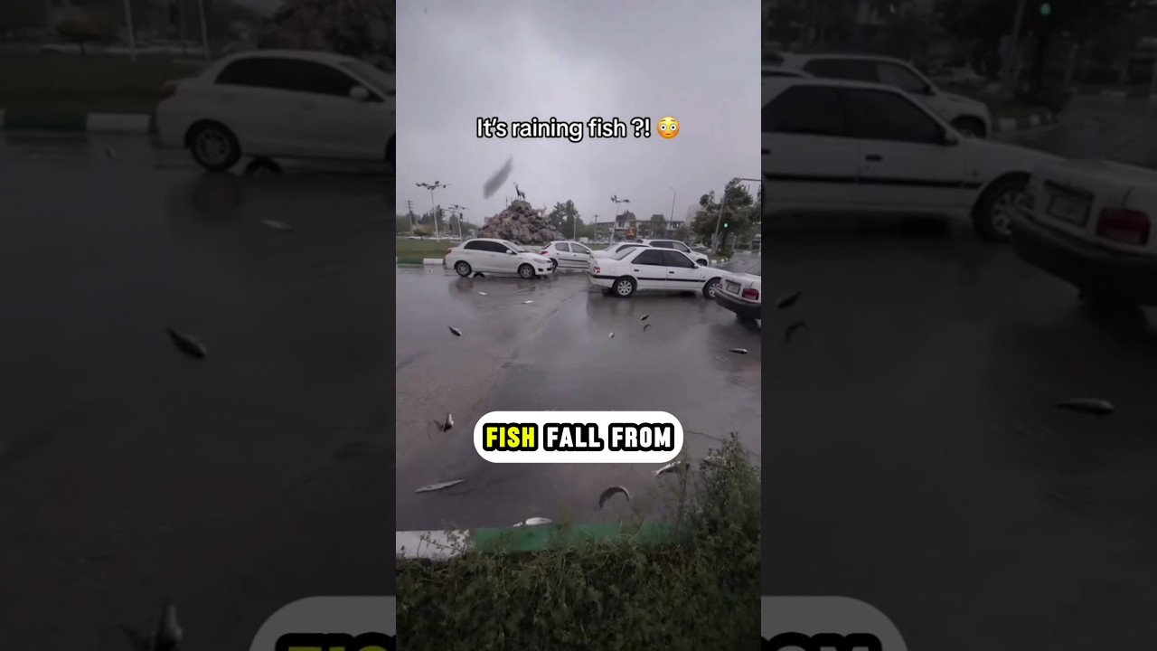 It Rains Fish Here?! Honduras' Weirdest Weather