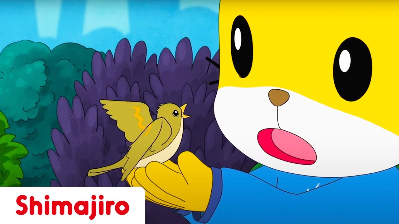 Very Hungry Little Birdy 🐥 | 🌾Earth Day | Kids videos for kids | Shimajiro