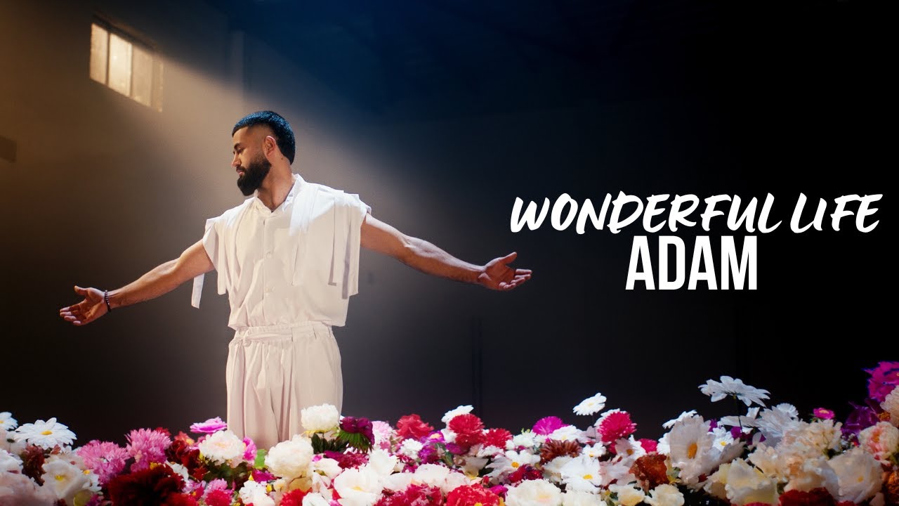 ADAM - Wonderful life  | Премьера песни (2024) #adam