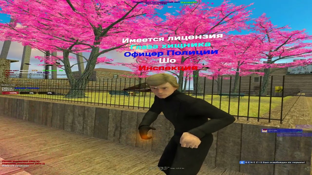 ГЛАВНЫЙ ВОР В ЗАКОНЕ GAMBITA RP!!! ||| GARRY'S MOD ||| GAMBIT RP