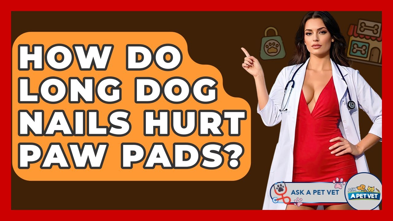 How Do Long Dog Nails Hurt Paw Pads? - Ask A Pet Vet