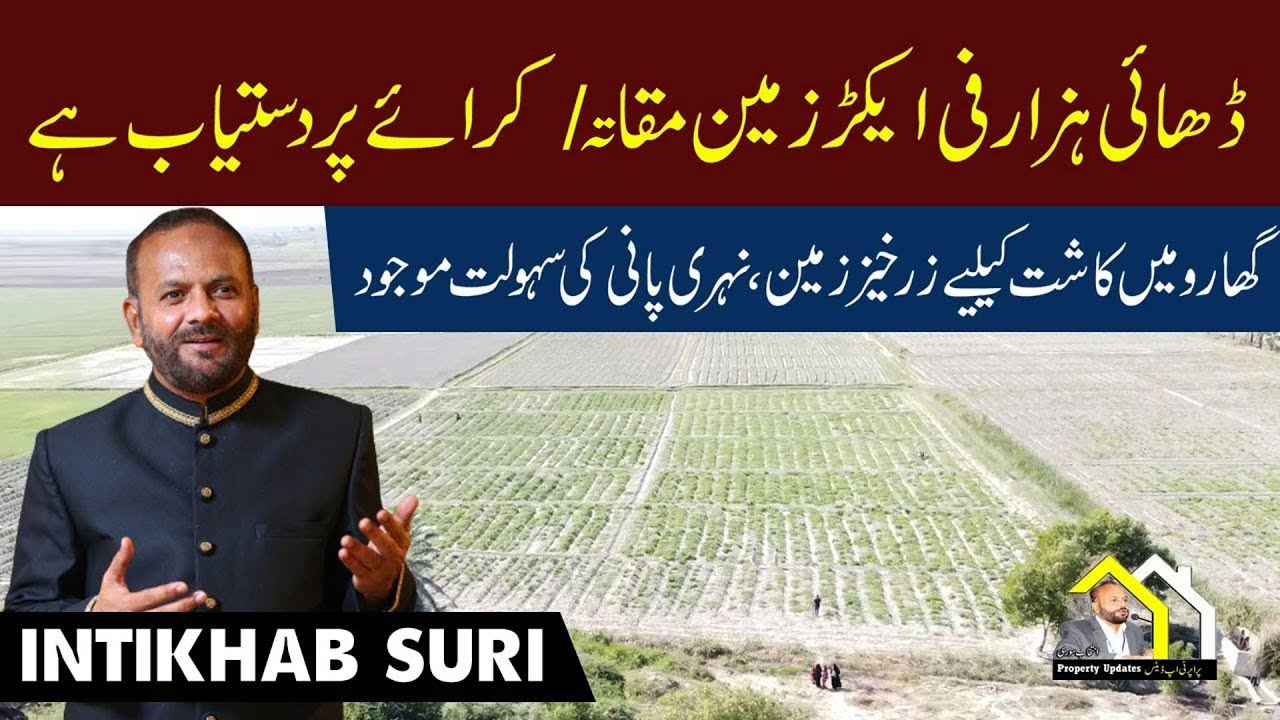 Best agriculture land on rent  30,000 yearly | گھارو میں آباد زمین مکاتہ پر | Property Updates
