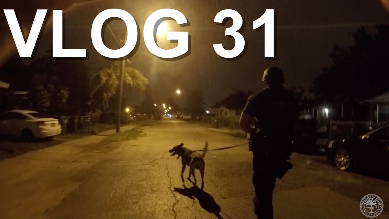 Полиция Майами VLOG 31: Патруль К9