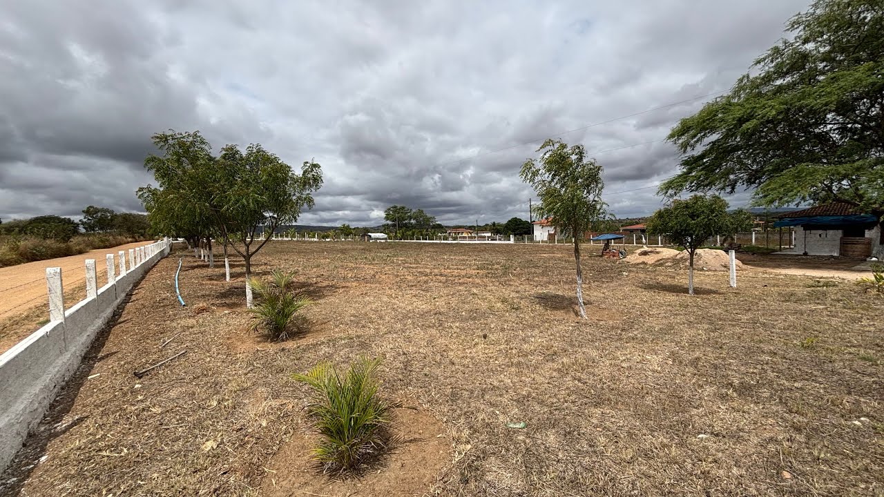 MEIO HECTARE COM FRUTAS TODO MURADO A VENDA