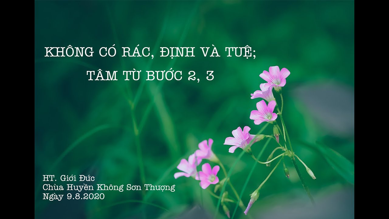 Không Có Rác, Định & Tuệ; Tâm Từ Bước 2,3 | HT. Giới Đức | Chủ Nhật/9/8/2020