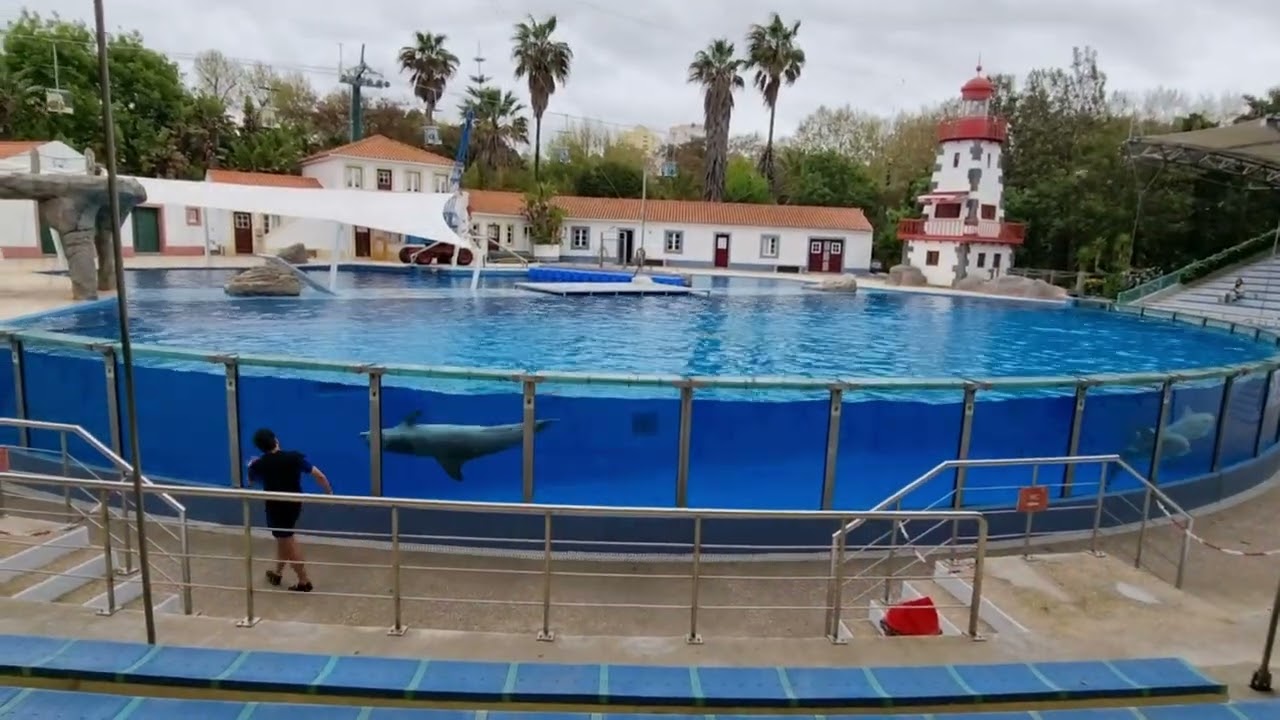 Jardim Zoológico de Lisboa. Baía dos Golfinhos.