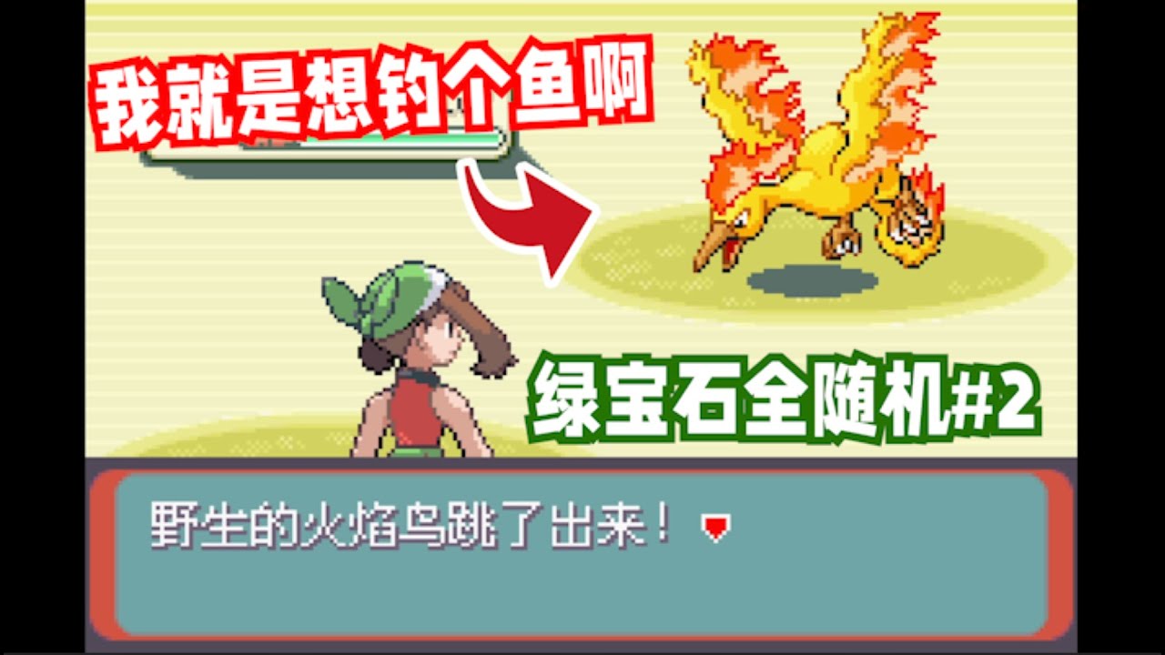 【绿宝石全随机#2】话说鸟是住在海里的吗