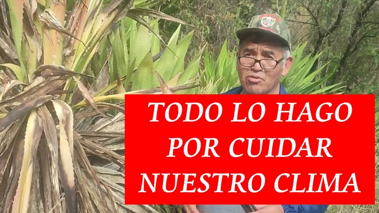 PAQPA SAQTAY / CUIDADO DEL MEDIO AMBIENTE / EDUCACION INTERCULTURAL BILINGUE