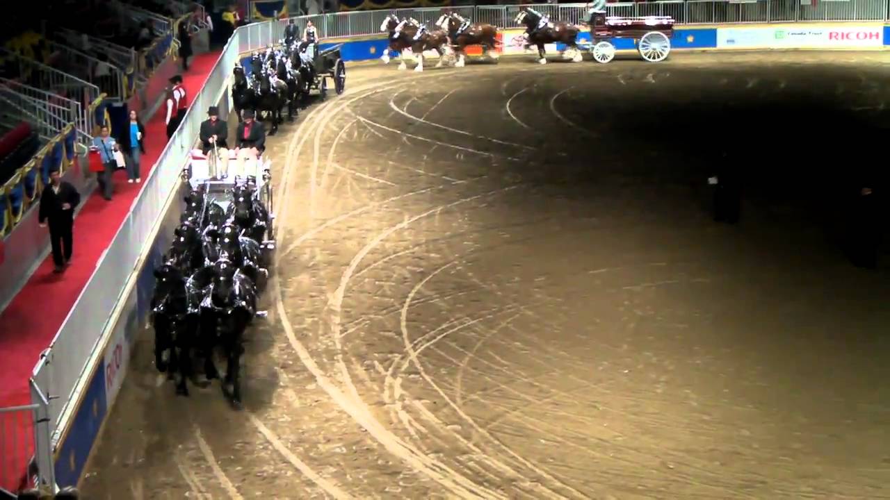 Royal Winter Fair - Horse Falls