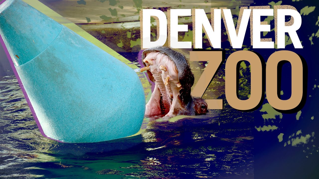 Denver Zoo | 17.11.2024