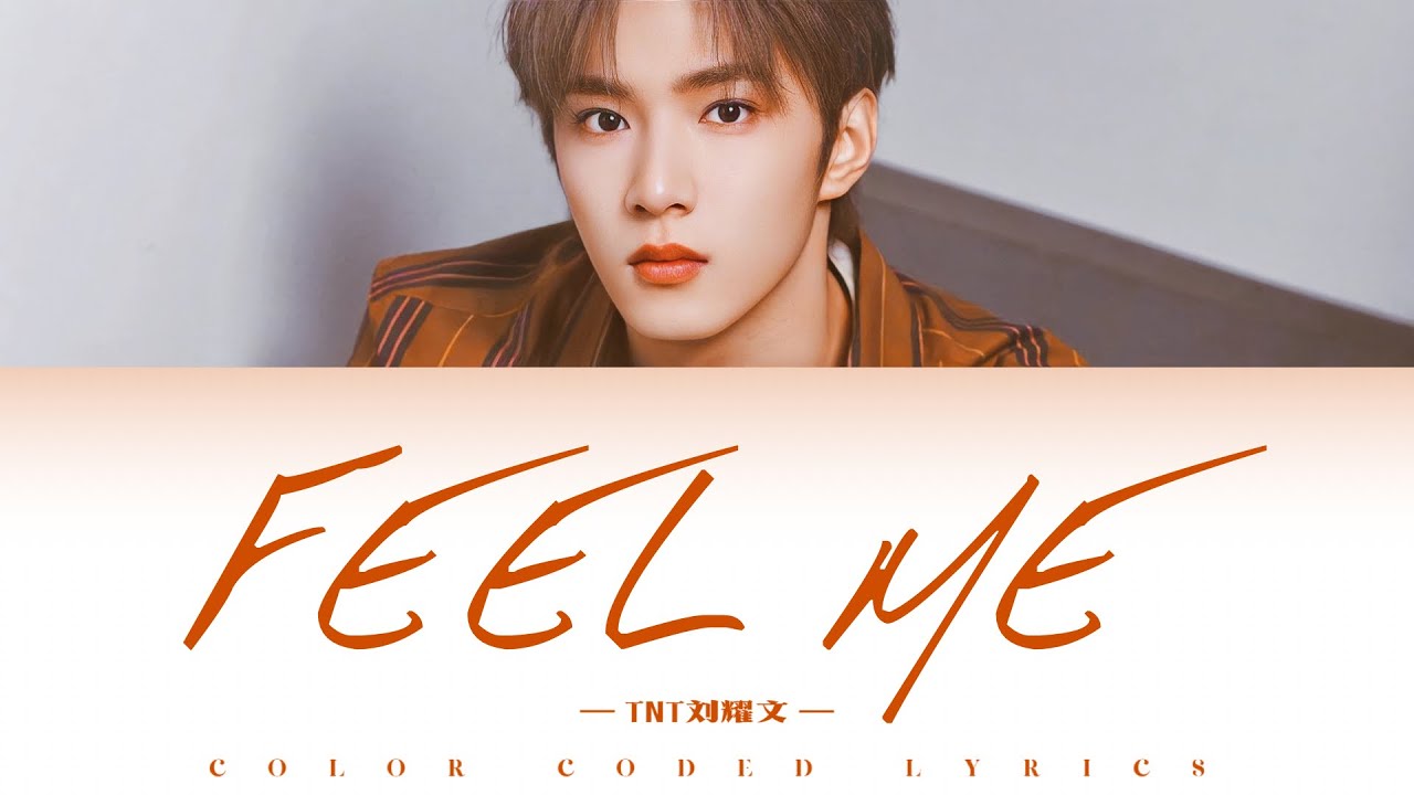 刘耀文Liu Yao Wen —《FEEL ME》歌词版 CN/PIN/ENG (TNT时代少年团)